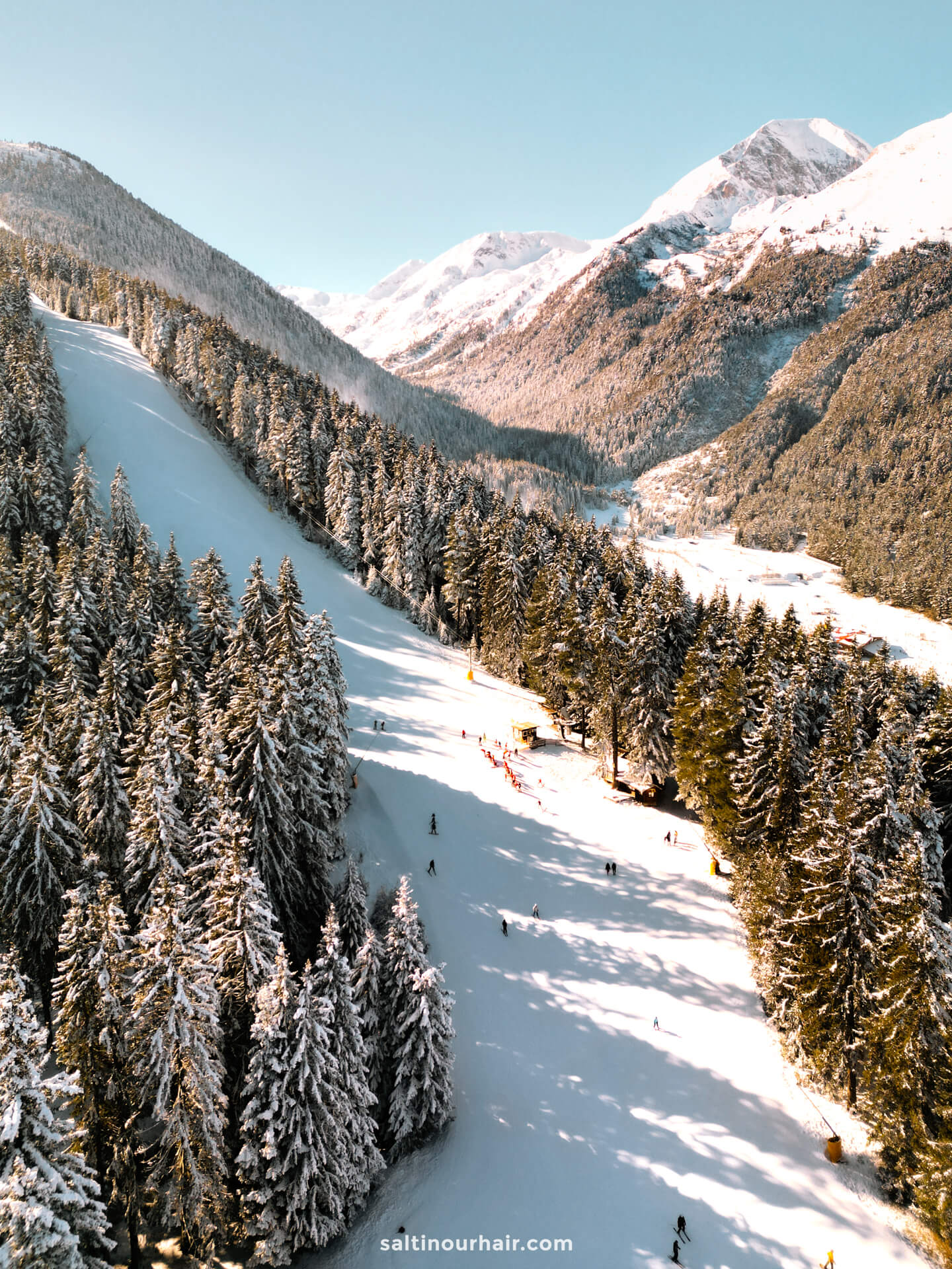 Skier carving through fresh snow above Bansko
